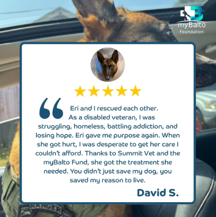 David S. testimonial - Eri and I rescued each other